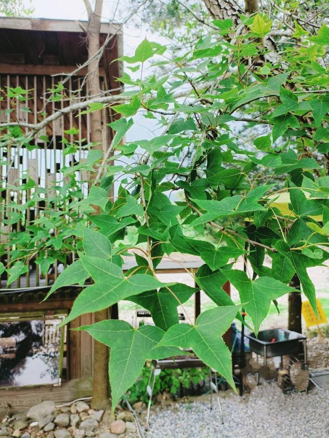 Fun星空謐境 埔里包棟民宿 烤肉麻將自然園區 Luaran gambar